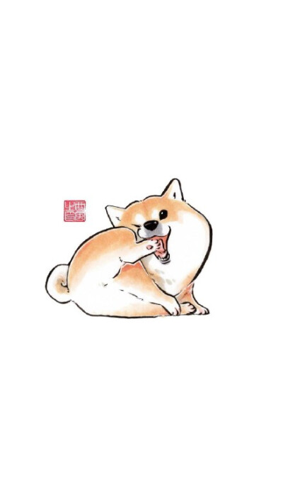 柴犬