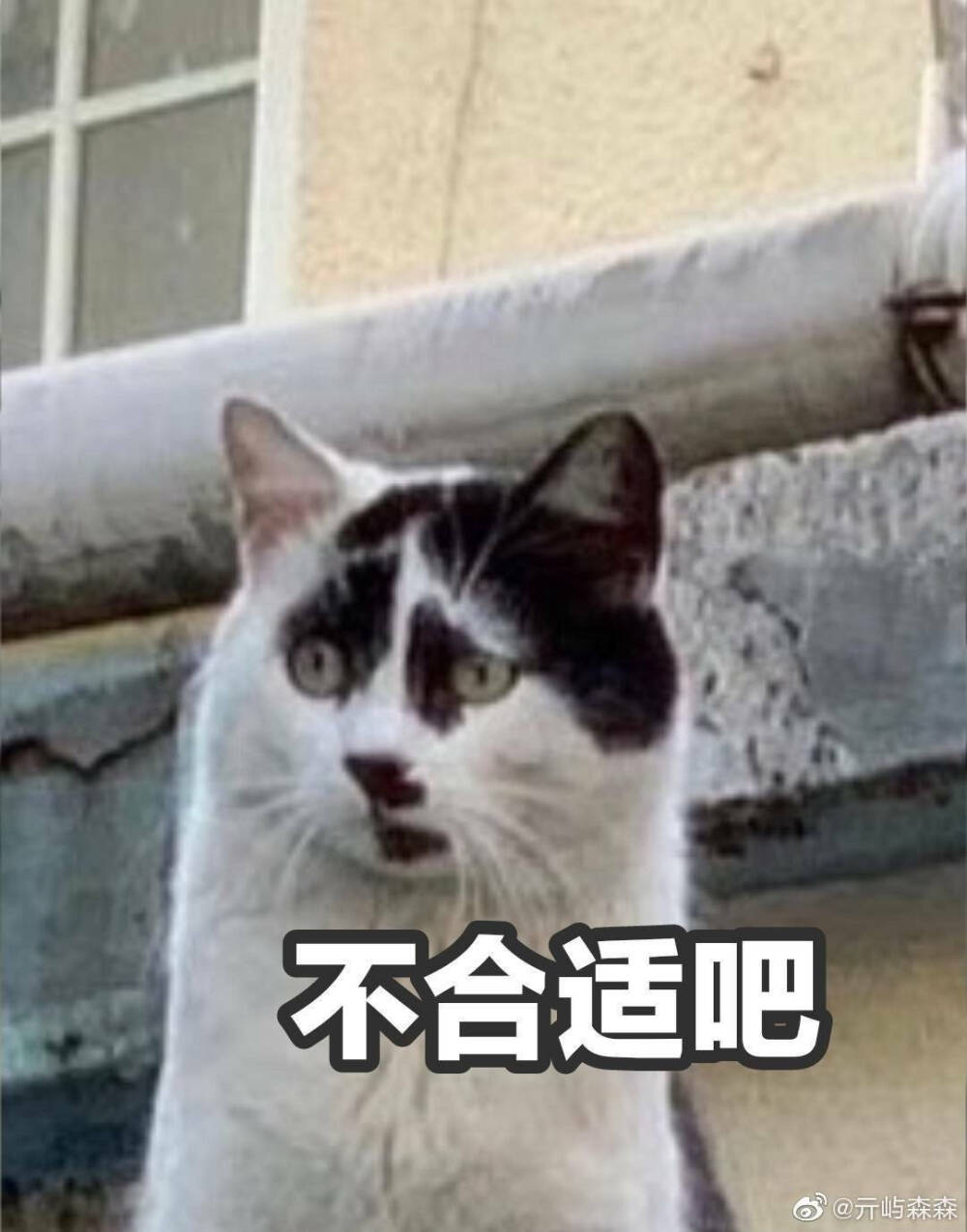 表情包