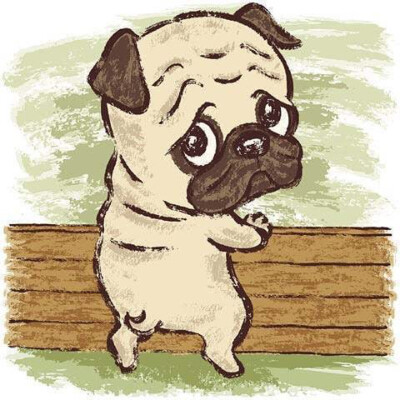 插画Toru Sanogawa ​​​​