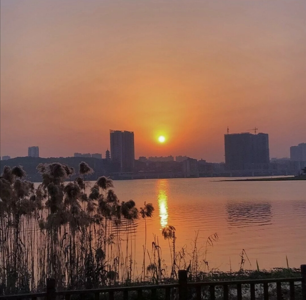 ins背景