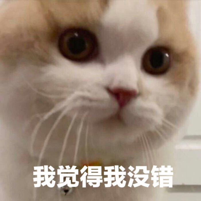 沙雕表情包