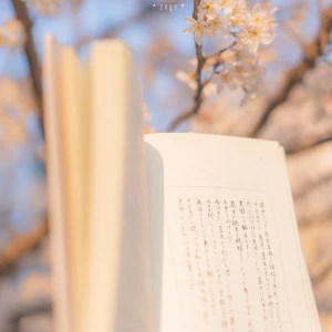 夏の風物詩 堆糖 美图壁纸兴趣社区