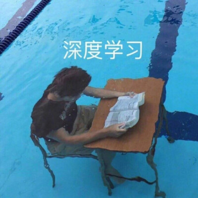 学习 表情包