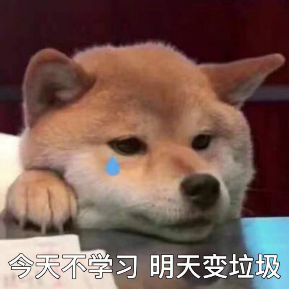 学习 表情包