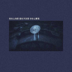 莫得文案2