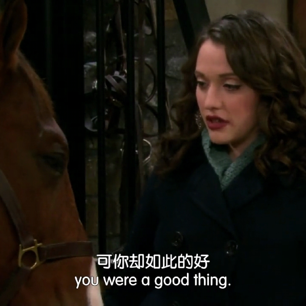 -I, um... I really haven't had much go right for me in my life, and pretty sure things are gonna keep getting worse but, you were a good thing. And when everything sucked, you were the best thing we had going. And you're fuzzy too.
（最喜欢的片段之一：麦克斯和卡洛琳因为下雪不得不送走栗宝。）