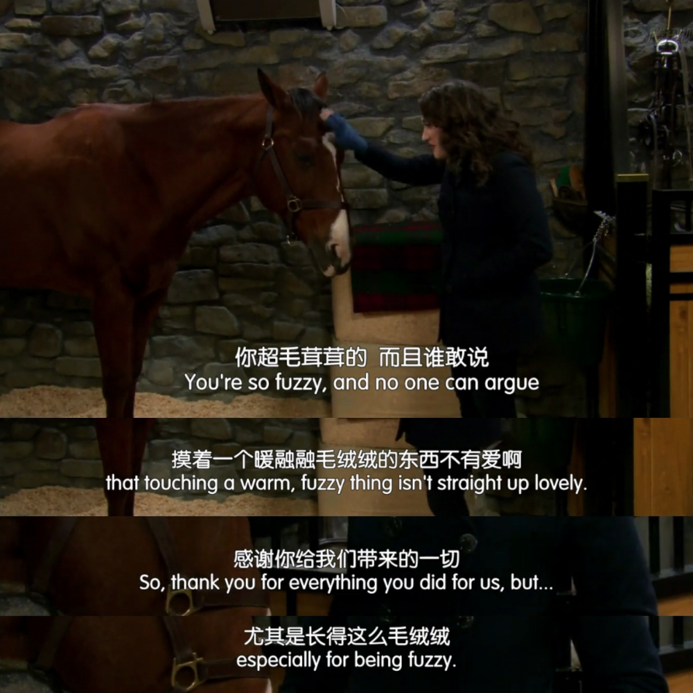 -I, um... I really haven't had much go right for me in my life, and pretty sure things are gonna keep getting worse but, you were a good thing. And when everything sucked, you were the best thing we had going. And you're fuzzy too.
（最喜欢的片段之一：麦克斯和卡洛琳因为下雪不得不送走栗宝。）