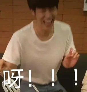 表情包！鹅鹅鹅！