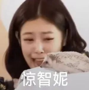 [BLACKPINK]笑死人不偿命的表情包.