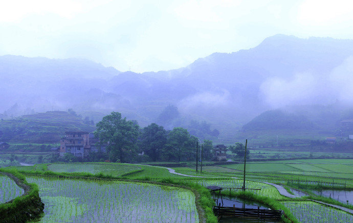 【原创】《牛背上的回忆》
三月的牛
与舅舅，和曲春意
共掌犁耙
奏响，春耕旋律
泥水荡起
裹满他们
疲惫却欢畅的身体
春情快意
迎来四月的谷雨
淅淅沥沥
将泥水与疲惫
沐浴洗涤
迎来五月盎然夏意
五月的牛背
是表哥习奏的舞台
驮着表哥与横笛
笛音青涩
难谐蝉鸣鸟啼
在林间
乱窜，豁飞
互不相礼
碰撞成
盎然喧嚣的大杂戏
晚霞辉映
谱下蹄印层迹
深浅不一
像童年的印象
断断续续
又在次日晨曦里
青草拂绿
像那些，青青岁月
疯长的回忆
文/南乡隐子 （@一诗一文 ）
#诗词# #故乡#