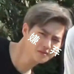 exo搞笑表情包:别气,我们只是爱的深沉,… - 高清图片,堆糖,美图壁纸