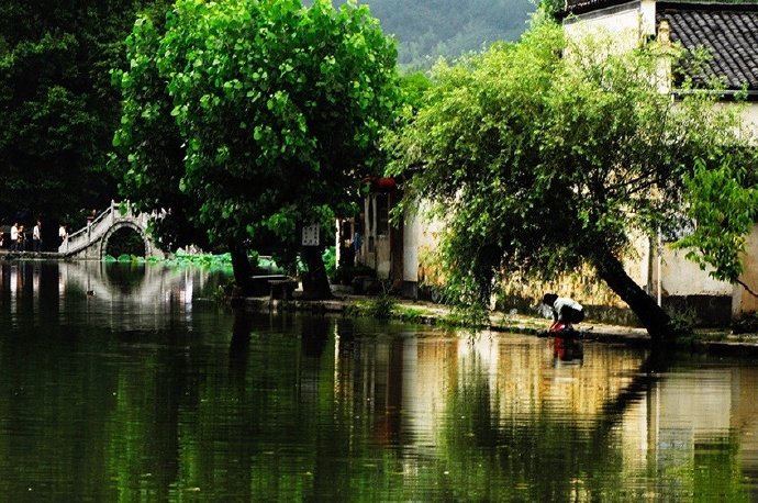 【原创】《是谁蚕食了我们的家园》
那记忆中的小山还在吗
它是不是已经断裂
那深达十米宽达两米的沟痕
像一张大口要把人吞啮
那记忆中的河岸还在吗
它是不是已经坍塌
那栽歪的老柳树裸露的根系
像一只大手正无所适惬
那记忆中的农田还在吗
它是不是已经废弃
那沙化的土层成了千沟万壑
像一片破布铺展在原野
那记忆中的斜坡还在吗
它是不是已经滑落
那脆弱的铁丝网被撑得鼓鼓
像一条袋子将巨石拦截
走过大自然被美景陶醉过
也为创伤担忧着
放下手中的斧子刀锯和贪欲吧
否则我们只能自食其果
文/黑龙江牡丹江苏丽荣
#诗词# #情感#