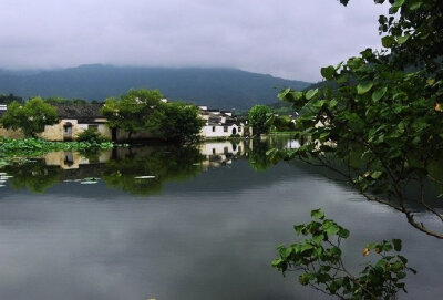 【原创】《是谁蚕食了我们的家园》
那记忆中的小山还在吗
它是不是已经断裂
那深达十米宽达两米的沟痕
像一张大口要把人吞啮
那记忆中的河岸还在吗
它是不是已经坍塌
那栽歪的老柳树裸露的根系
像一只大手正无所适…