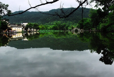 【原创】《是谁蚕食了我们的家园》
那记忆中的小山还在吗
它是不是已经断裂
那深达十米宽达两米的沟痕
像一张大口要把人吞啮
那记忆中的河岸还在吗
它是不是已经坍塌
那栽歪的老柳树裸露的根系
像一只大手正无所适…