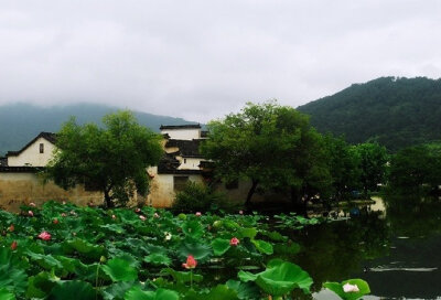 【原创】《是谁蚕食了我们的家园》
那记忆中的小山还在吗
它是不是已经断裂
那深达十米宽达两米的沟痕
像一张大口要把人吞啮
那记忆中的河岸还在吗
它是不是已经坍塌
那栽歪的老柳树裸露的根系
像一只大手正无所适…