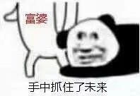 熊猫头表情包/拿图吱声。