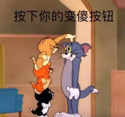 猫和老鼠沙雕表情包~
Biu~