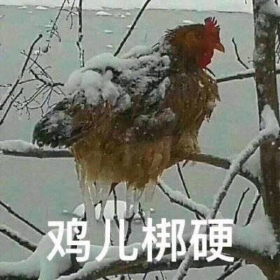 表情