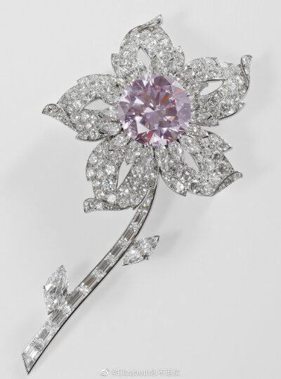 The Queen's Williamson Pink Diamond Brooch 加拿大地质学家约翰·威廉森博士1947年10月在自己位于南非的矿场里挖出一块重54.5克拉的粉色钻石原石，因为一个月之后恰逢女王的婚礼，所以威廉森博士决定把这块粉钻作为…