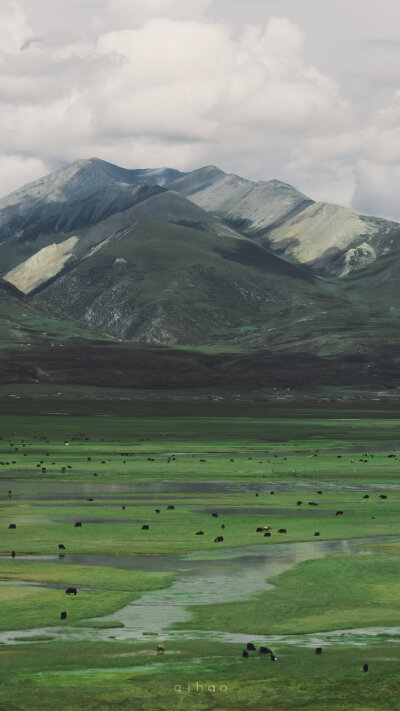 山河辽阔 天路无垠
壁纸/高清壁纸/锁屏壁纸/无水印壁纸/风景壁纸/草原壁纸/绿色壁纸/护眼壁纸/神仙壁纸/手机壁纸/聊天背景
cr.七号--