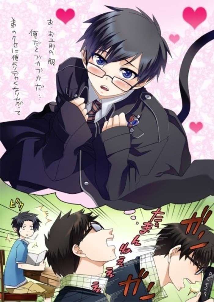 青之驱魔师 源氏兄弟
雪燐