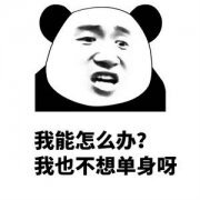 熊猫头表情包/拿图吱声。