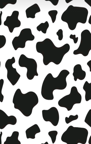 摸摸踹 拿图吱声。