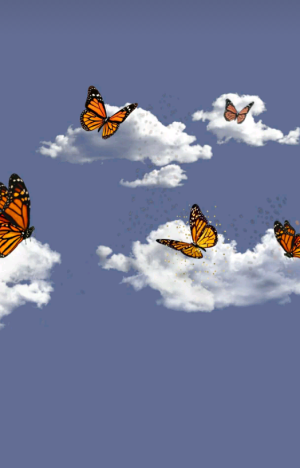 摸摸踹 拿图吱声。