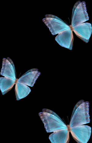 摸摸踹 拿图吱声。