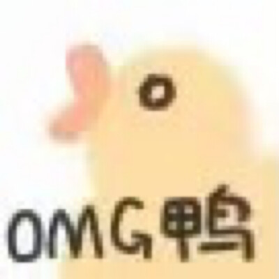 鸭 表情包