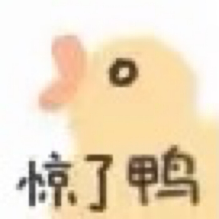 鸭 表情包