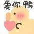 鸭 表情包