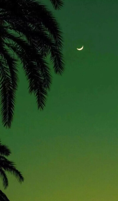 微信壁纸
这才是仙女该用的壁纸