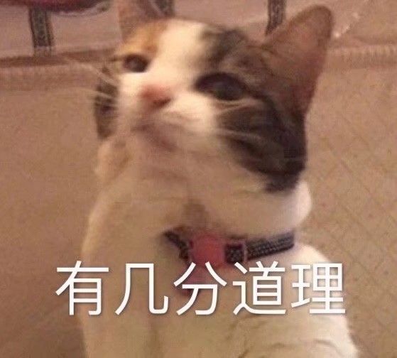 憨批小猫猫