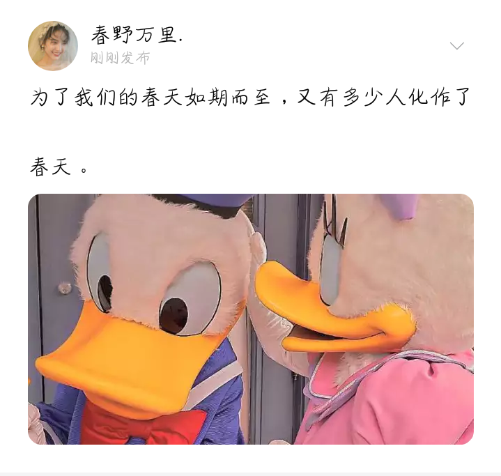 备忘录 句子 