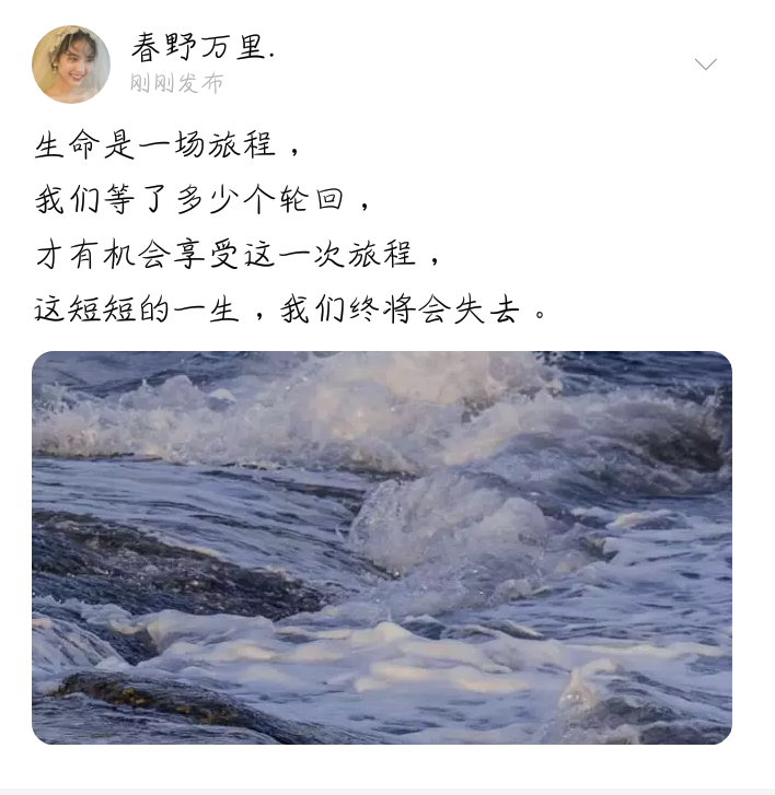 备忘录 句子 