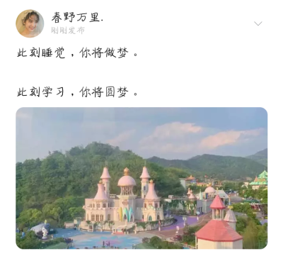 句子 备忘录 台词