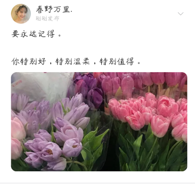 句子 备忘录 台词