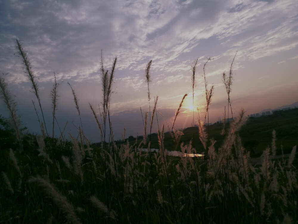 大山