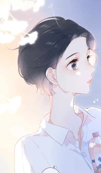 命运胶囊