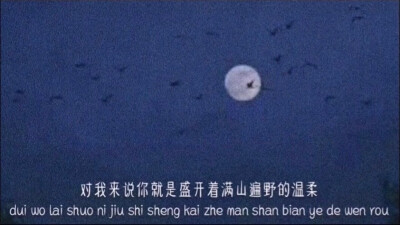 背景图