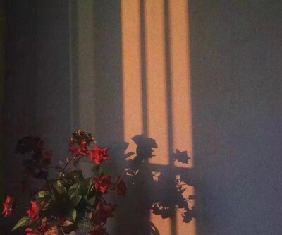 背景图
