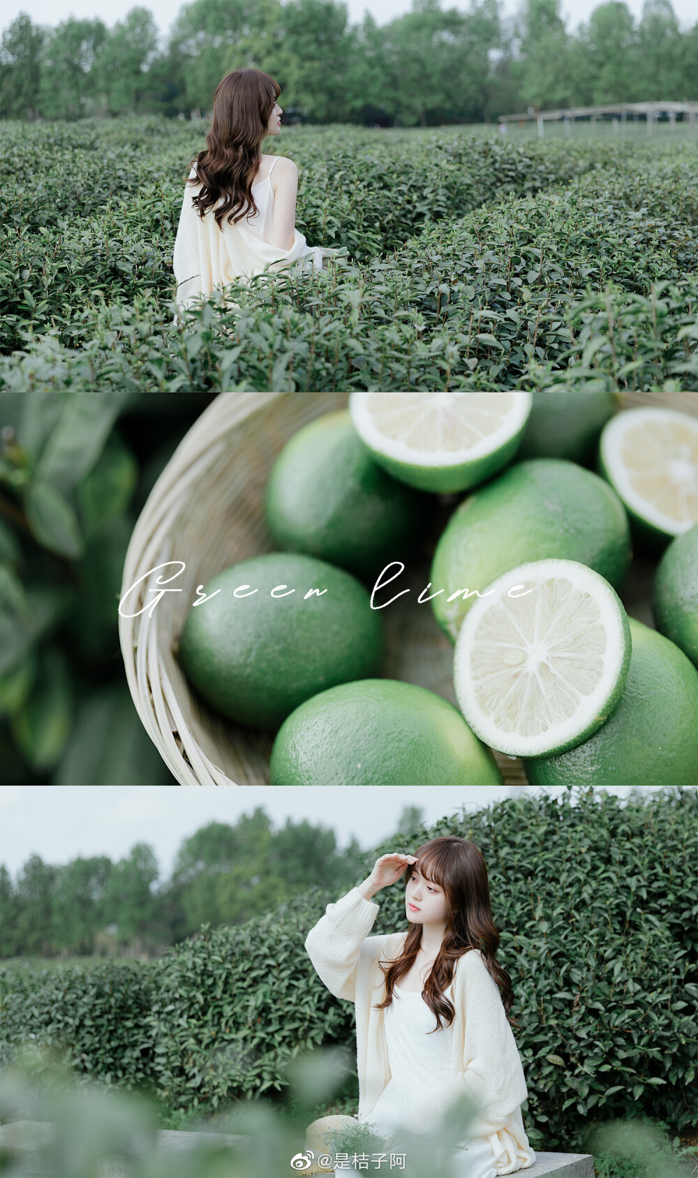 「 Green lime 」
出境@白小盐有点甜
摄影@是桔子阿
#杭州约拍##上海约拍##厦门约拍# ​​​#南京约拍# ​​​