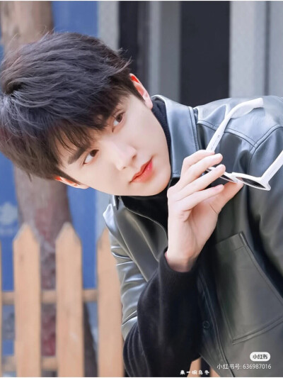 宝藏男孩儿——张新成