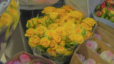 微博：Romantic百分百
好喜欢这组 码住