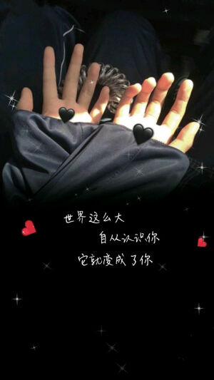  不管结局如何   我的世界都不允许你消失