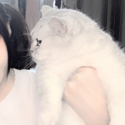 二传注明堆糖占课