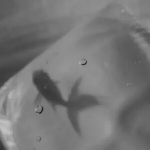 从前想要的现在全都不想要了