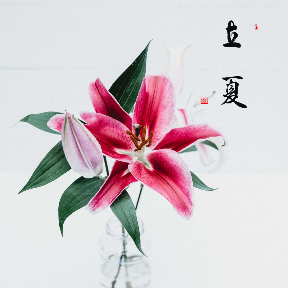 鬥指東南，維為立夏，
萬物皆長，來日方長⋯⋯