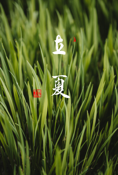 鬥指東南，維為立夏，
萬物皆長，來日方長⋯⋯